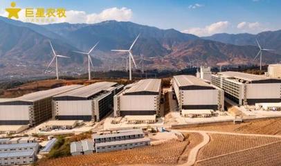 智“匯”相約,悅見未來 --巨星農牧德昌巨星生豬繁育一體化項目開放日活動成功舉辦