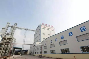 與你我有關 江津這些重點項目今年已經建成投用