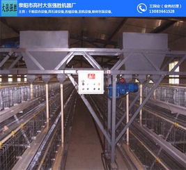 蛋雞上料機(jī) 大張強(qiáng)勝 三層三列蛋雞上料機(jī)