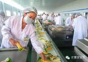 糧食庫存高企無出路 這些辦法你試過了嗎
