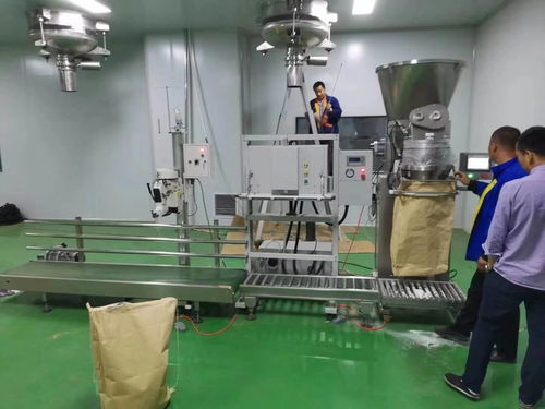魚飼料自動定量包裝機10 60公斤廠家生產(chǎn) 價格