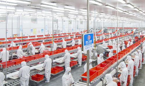 雙匯王中王 實現肉制品自動化 集約化生產,全面提升智能化 信息化水平