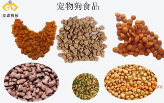 操作簡單的寵物食品生產線 飼料設備加工基地,操作簡單的寵物食品生產線 飼料設備加工基地生產廠家,操作簡單的寵物食品生產線 飼料設備加工基地價格