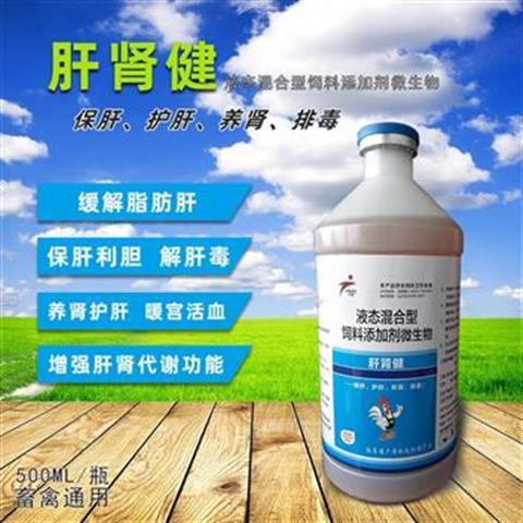 肝腎健保肝護腎保健飼料添加劑豬牛羊雞鴨鵝家禽藥兔獸用正品