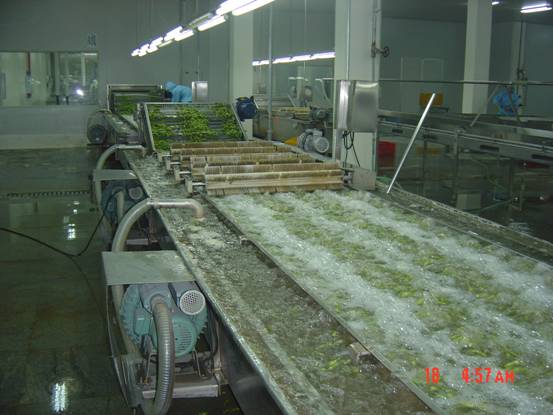 【寵物飼料生產線,時產300kg寵物食品生產線圖片】寵物.